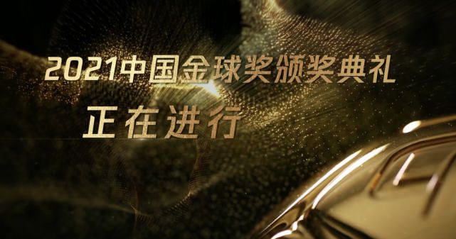 我妻子的101婚姻