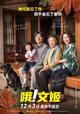 91理论片