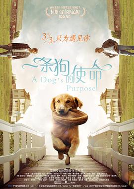 妹妹的早恋