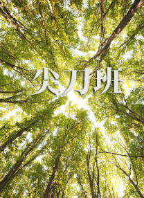 自由恋爱的时代